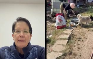 Denuncian a Fundación Haghenbeck por lucrar con refugio animal
