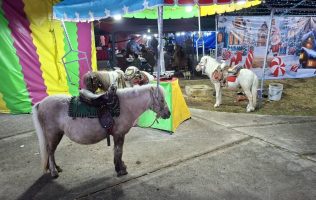 Denuncian maltrato animal en Tecámac piden intervención de la autoridad