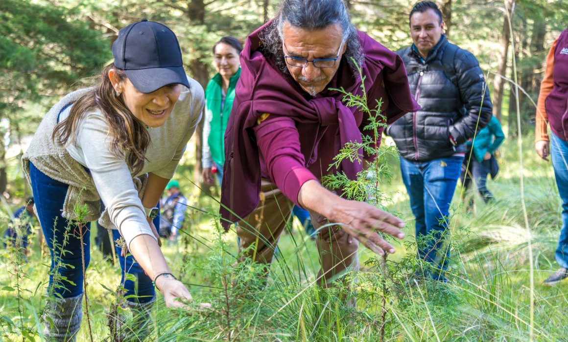 Emprende Erika Olea acciones para preservar bosques en Tianguistenco