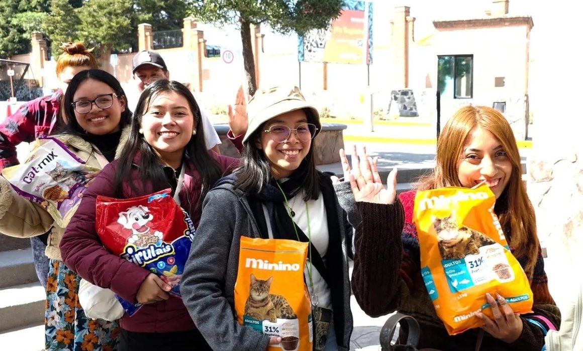 Entrada gratis a Zacango este 6 de diciembre a cambio de croquetas