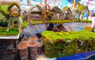 Evita comprar 'musgo' esta Navidad y utiliza creaciones ecológicas