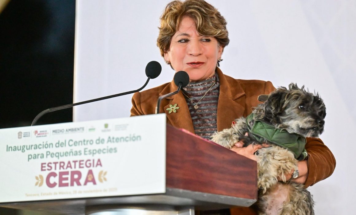 Llama Delfina Gómez a proteger a michis y lomitos ante el frío