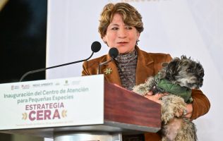 Llama Delfina Gómez a proteger a michis y lomitos ante el frío