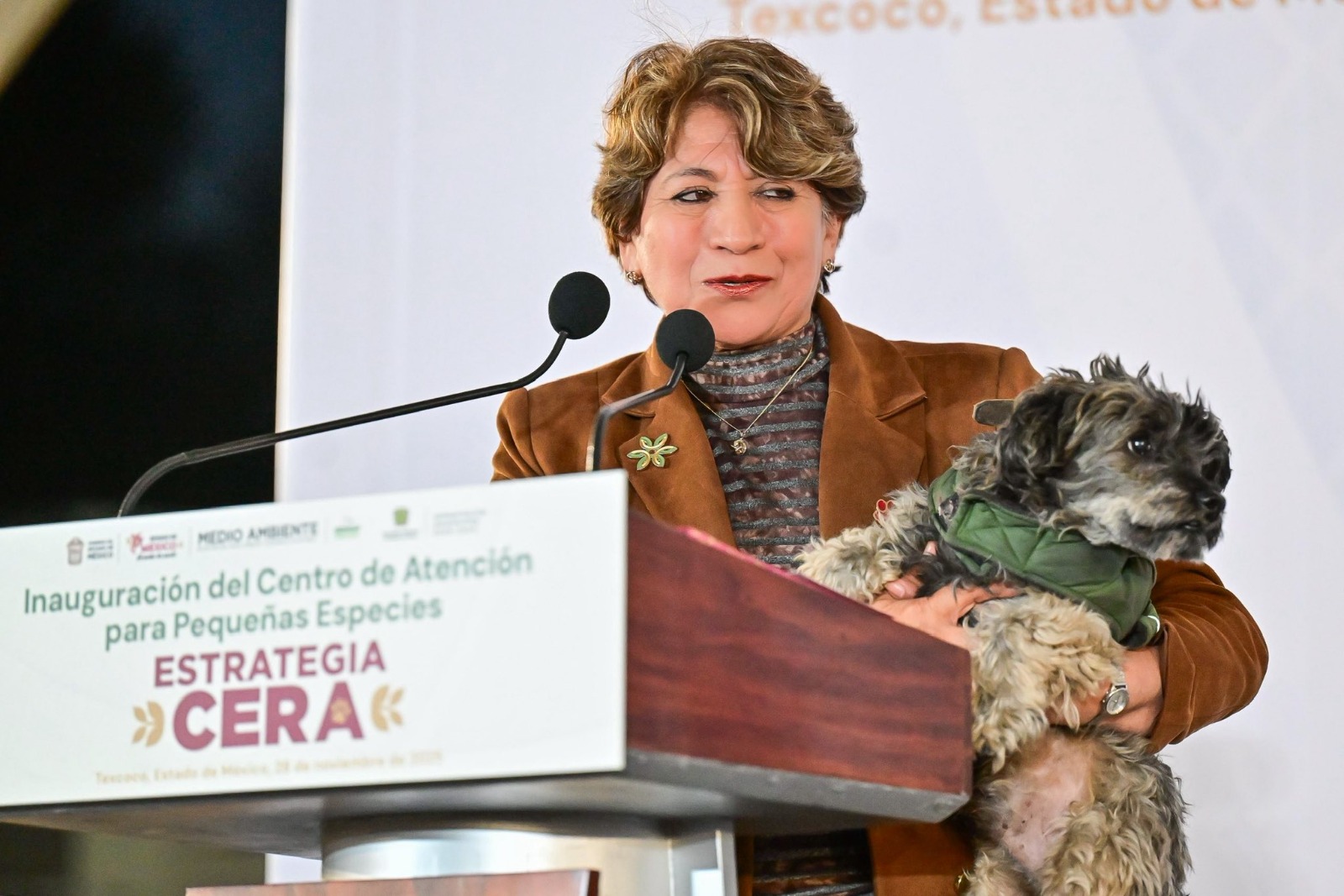 Llama Delfina Gómez a proteger a michis y lomitos ante el frío