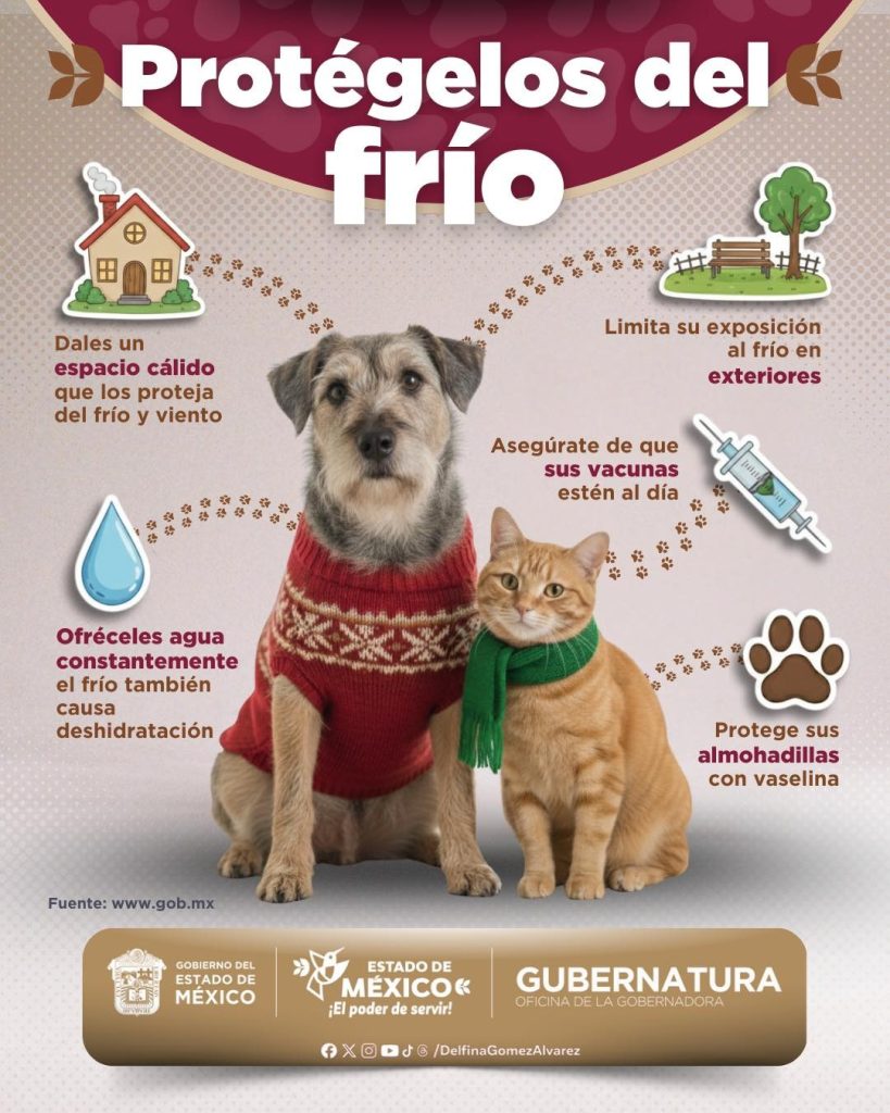 FOTO: Delfina Gómez