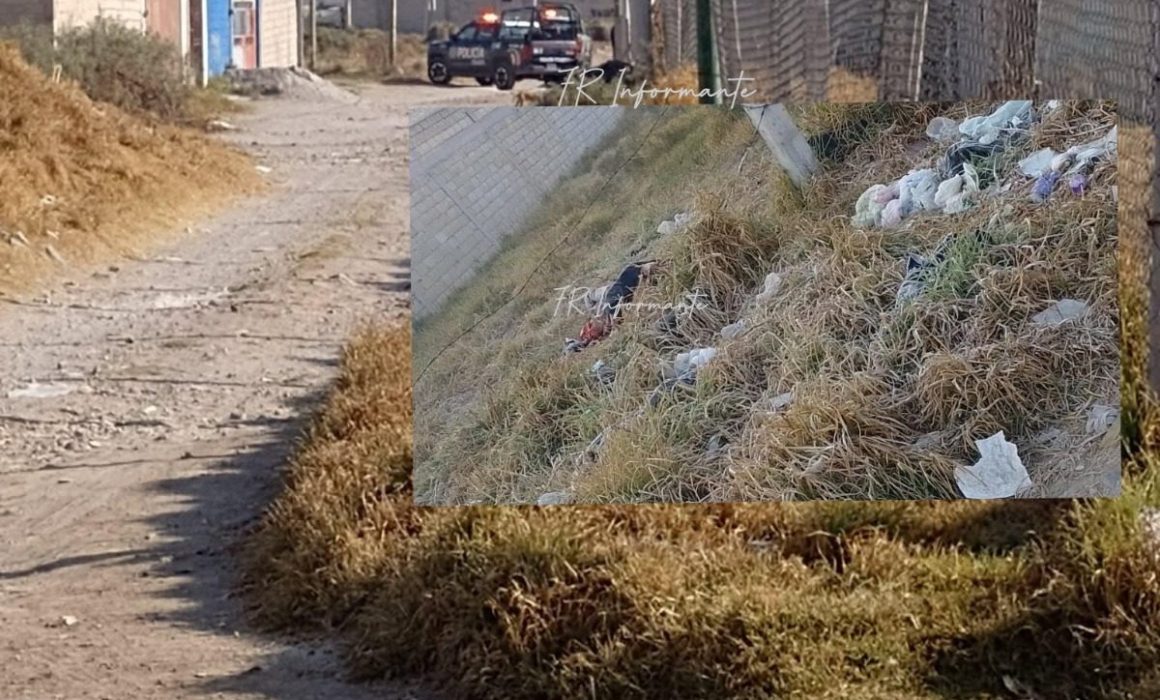 Localizan cuerpo sin vida en Toluca; perros devoraba restos humanos