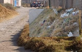 Localizan cuerpo sin vida en Toluca; perros devoraba restos humanos