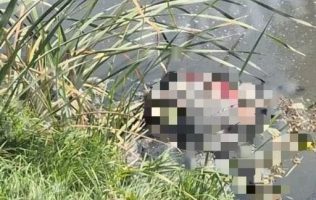 Localizan cuerpo sin vida en canal de San Juan, Tultitlán