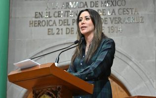 Piden Verdes más presupuesto para servicios ambientales en Congreso