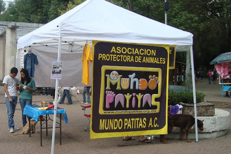 FOTO: Mundo Patitas
