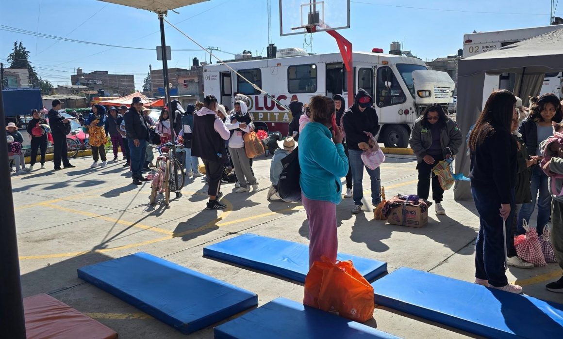 Plantan en Toluca 78 mil árboles; esterilizan a 13 mil mascotas en 2025