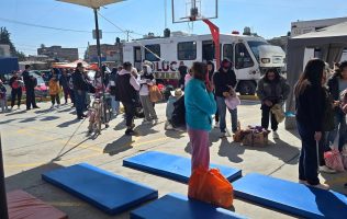 Plantan en Toluca 78 mil árboles; esterilizan a 13 mil mascotas en 2025