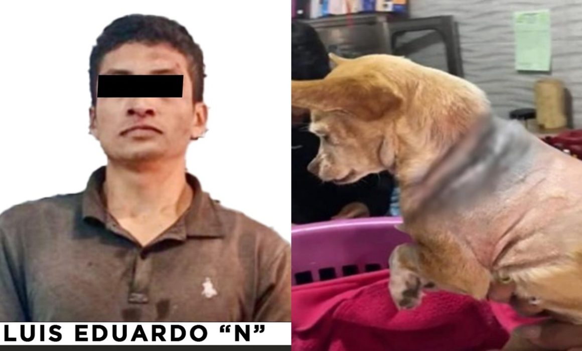 Procesan a hombre por cruel maltrato animal en Naucalpan
