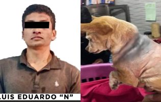 Procesan a hombre por cruel maltrato animal en Naucalpan