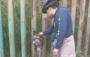 Rescata PC de Metepec a lomito que quedó atrapado entre unos barrotes