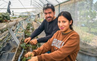 Retrasar o negar aguinaldo en el Estado de México es motivo de multa