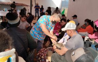 Supera Amecameca mil 900 esterilizaciones gracias a trabajo comunitario