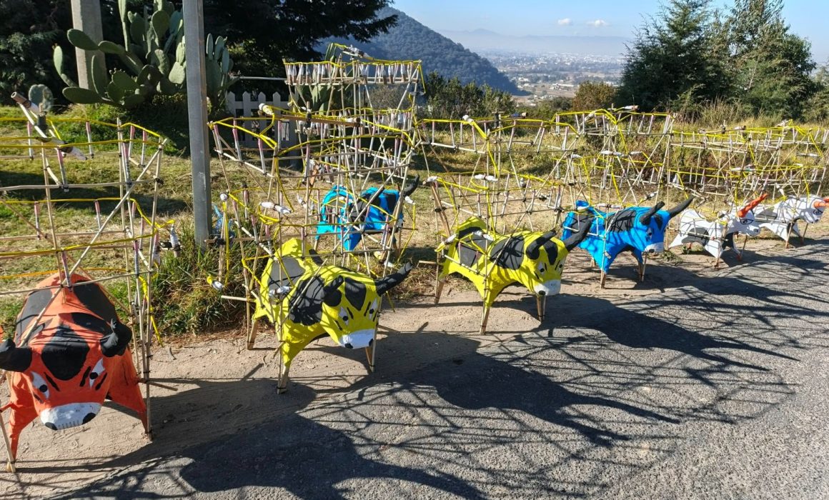 Venden toritos de pirotecnia para despedir el año en Toluca-Naucalpan