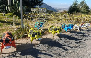 Venden toritos de pirotecnia para despedir el año en Toluca-Naucalpan