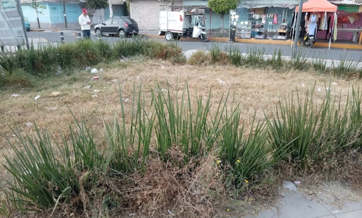 Abandono de parques exhibe falta de mantenimiento en Chimalhuacán