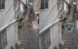 Avientan a perro desde escaleras en Naucalpan; exigen castigo