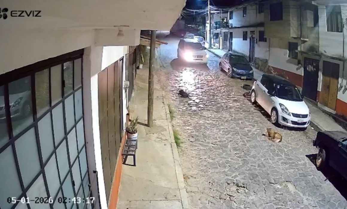 Captan a conductor que arrolla intencionalmente a perro en Valle Bravo