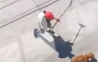 Captan maltrato animal en Ixtapaluca; hay denuncia y exigen resultados