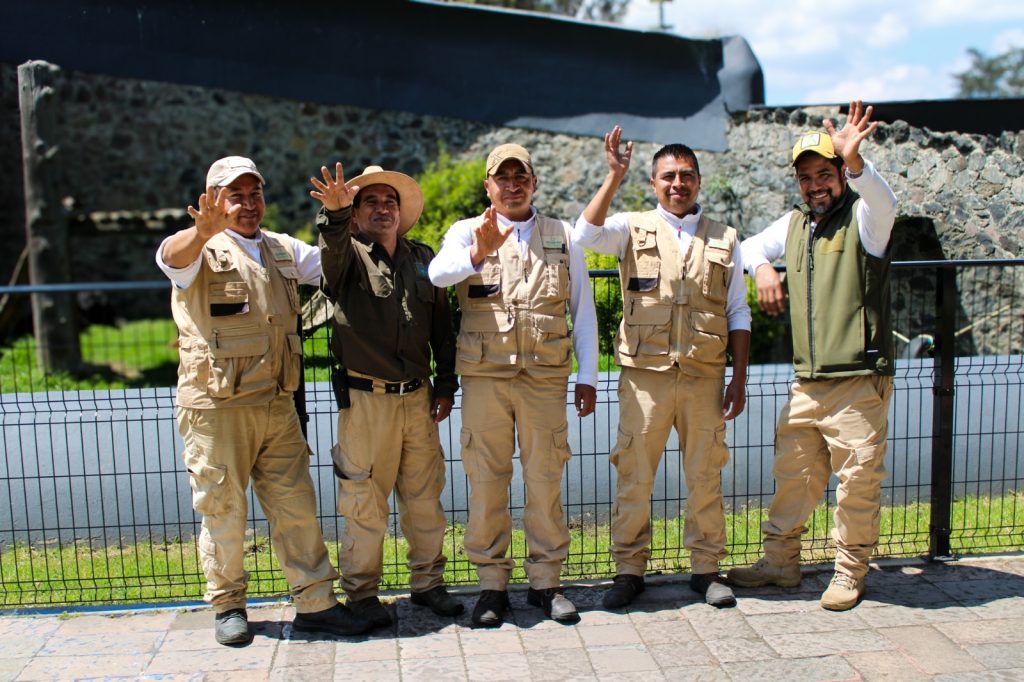 FOTO: COMISIÓN ESTATAL DE
PARQUES NATURALES Y DE LA FAUNA DEL GOBIERNO DEL
ESTADO DE MÉXICO