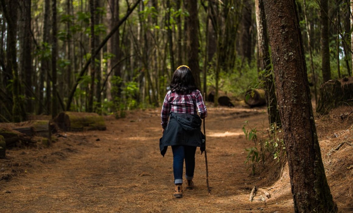 Convoca Edomex a turismo de naturaleza por migración de Mariposa Monarca