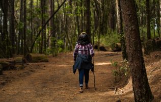 Convoca Edomex a turismo de naturaleza por migración de Mariposa Monarca
