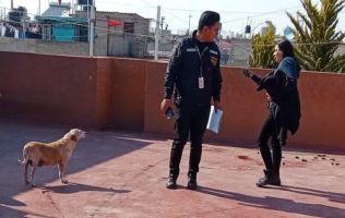 Crecen denuncias y rescates por maltrato animal en Nezahualcóyotl
