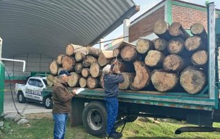 Decomisan camión con 36 rollos de madera ilegal en Coatepec Harinas