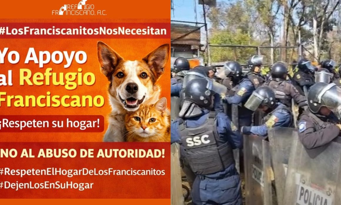 Estalla conflicto por rescate animal en Refugio Franciscano