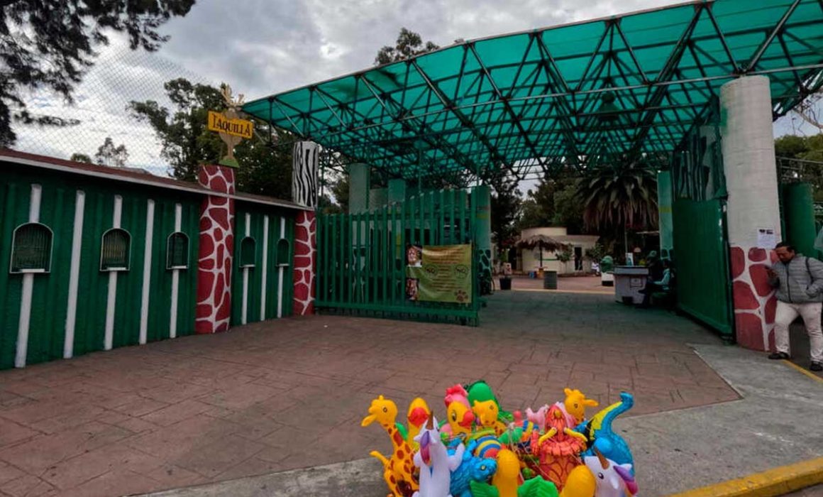Exhiben abandono y maltrato en el Parque del Pueblo en Nezahualcóyotl