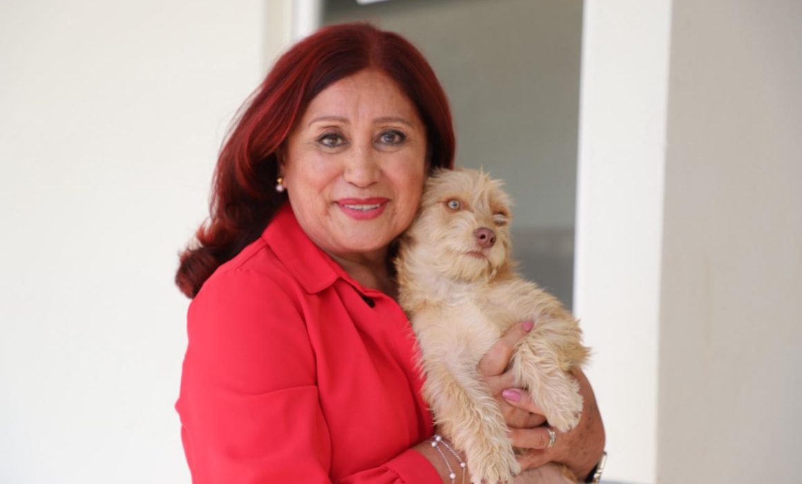 Fortalece Tecámac bienestar animal con hospitales y esterilización