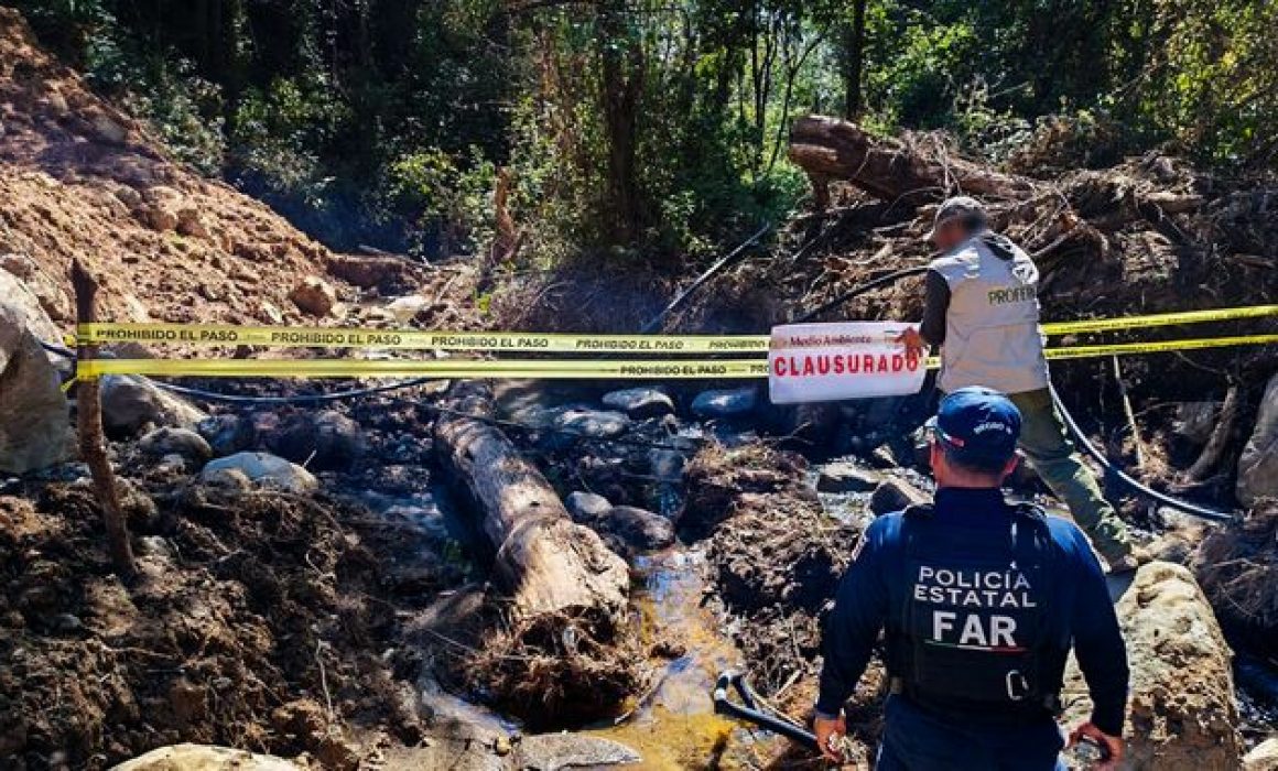 Impone Profepa cierre; asegura maquinaria por obras sin permiso