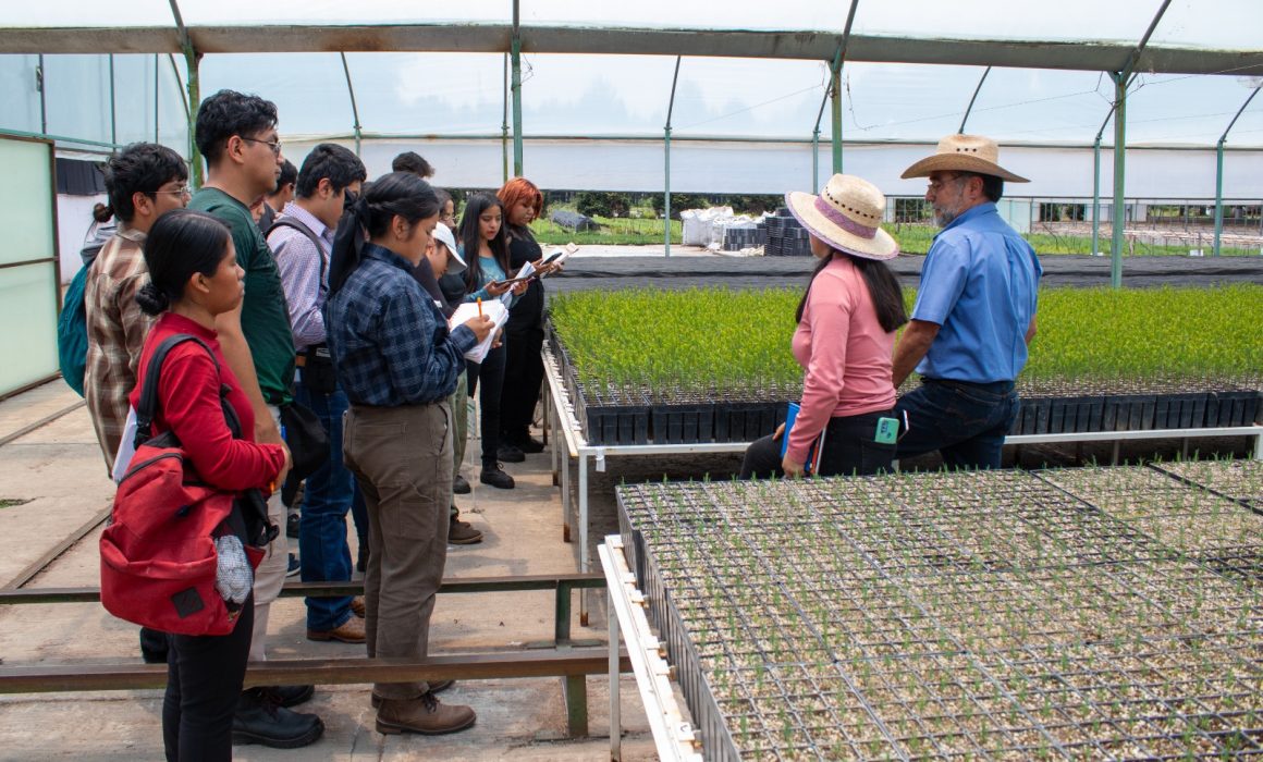 Impulsa Estado de México proyecto Bosque-Escuela en Probosque