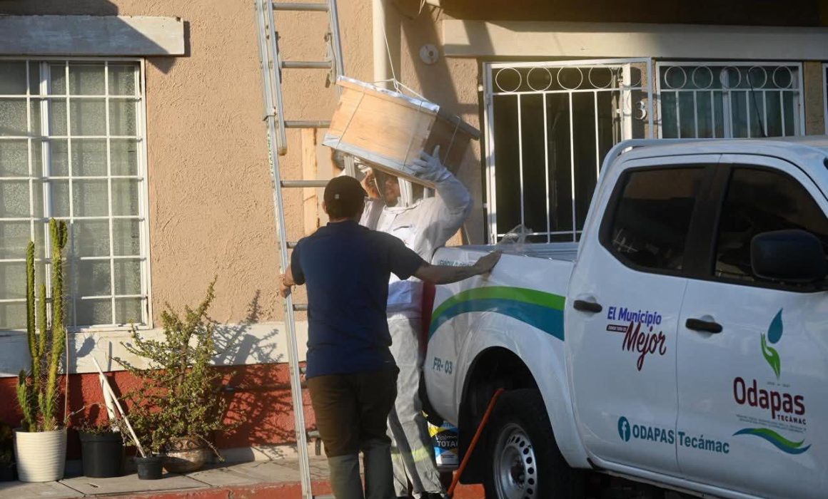 Integra Tecámac funciones ambientales a ODAPAS para gestión del agua