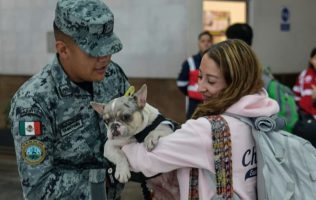 Lanza AIFA escuadrón canino para reducir ansiedad de pasajeros