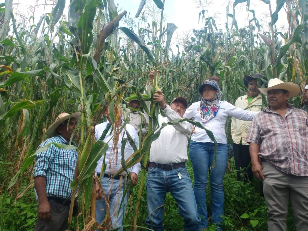 FOTOS: Gobierno del Edomex