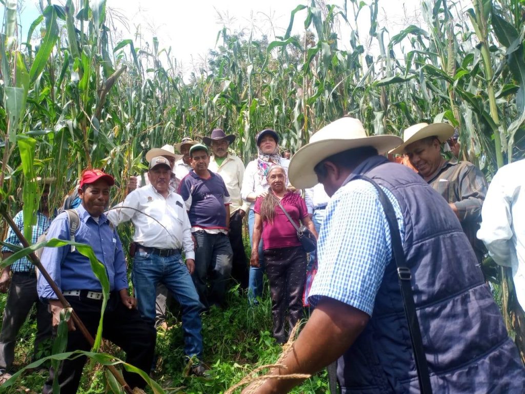 FOTOS: Gobierno del Edomex