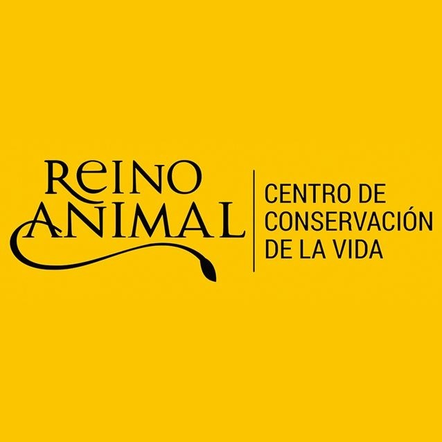 Foto: Reino Animal