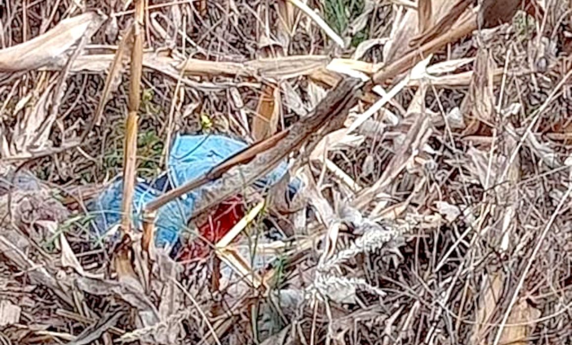 Lo matan y abandonan su cuerpo en un sembradío en Tenango del Valle