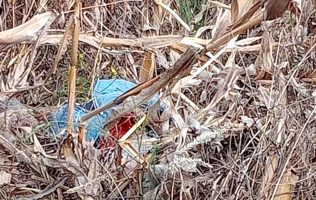 Lo matan y abandonan su cuerpo en un sembradío en Tenango del Valle