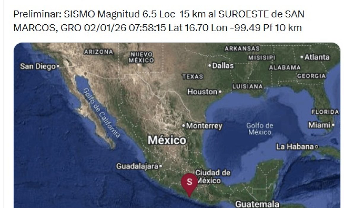 Olvidan a sus mascotas durante evacuaciones por sismo en Edomex