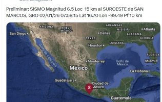 Olvidan a sus mascotas durante evacuaciones por sismo en Edomex