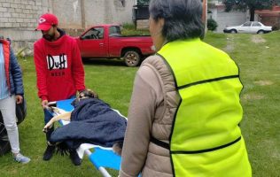 Promueven jornadas de esterilización en El Oro pese a nulo apoyo local