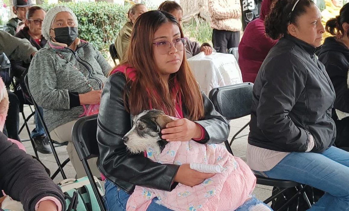 Realizan jornada de esterilización animal en Chalco