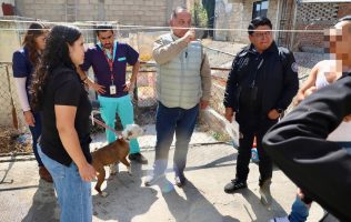 Rescatan a pitbull víctima de maltrato en Cuautitlán Izcalli