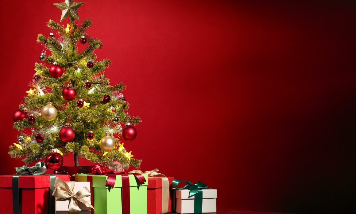 Invita Edomex a darle una ‘segunda vida’ a tu árbol de Navidad
